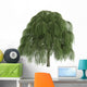 Willow Salix Wall Decal