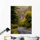 Mountain Road Wall Decal