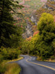 Mountain Road Wall Decal