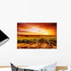 Amazing Vineyard Sunset Wall Decal