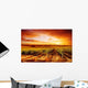 Amazing Vineyard Sunset Wall Decal