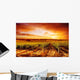 Amazing Vineyard Sunset Wall Decal