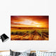 Amazing Vineyard Sunset Wall Decal