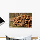 Logging Site Wall Decal