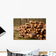 Logging Site Wall Decal
