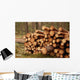 Logging Site Wall Decal
