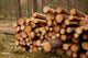 Logging Site Wall Decal