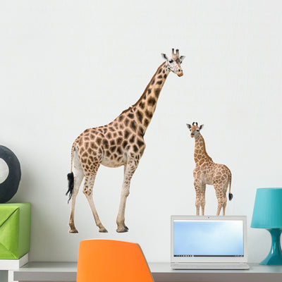 Giraffe Mother and Baby Wall Stickers Wall Decal shown on a wall