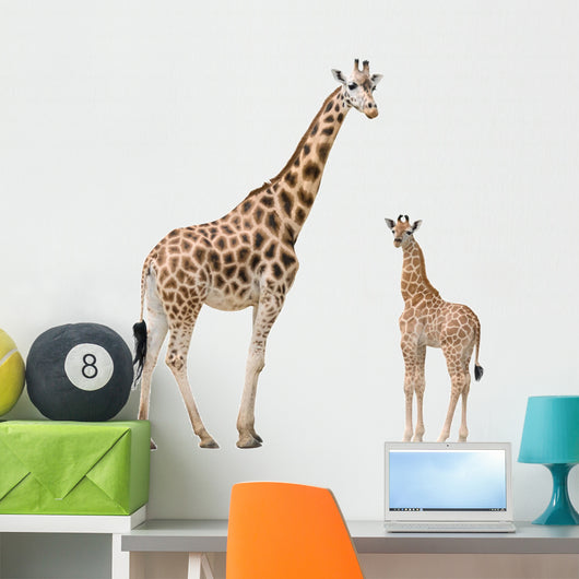 Animal Train Wall Stickers Giraffe Elephant Alphabet Wall Decals Art D