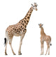 Giraffe Mother and Baby Wall Stickers Wall Decal