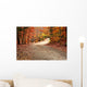 Autumn Landscape with Path Wall Decal