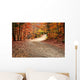 Autumn Landscape with Path Wall Decal
