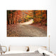 Autumn Landscape with Path Wall Decal