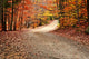 Autumn Landscape with Path Wall Decal