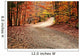 Autumn Landscape with Path Wall Decal