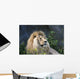 Lion Wall Decal Design 1