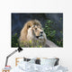 Lion Wall Decal Design 1