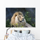 Lion Wall Decal Design 1