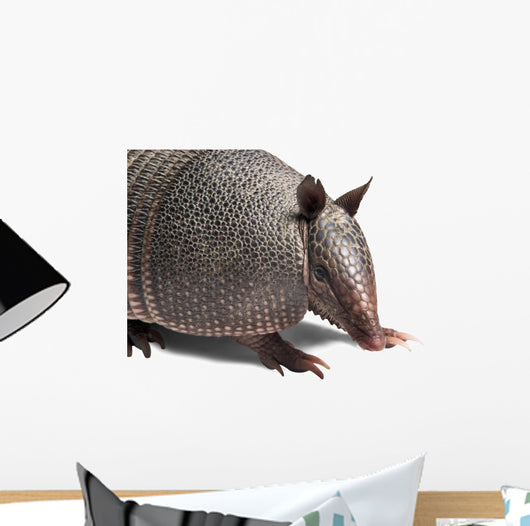 Armadillo Wall Decal