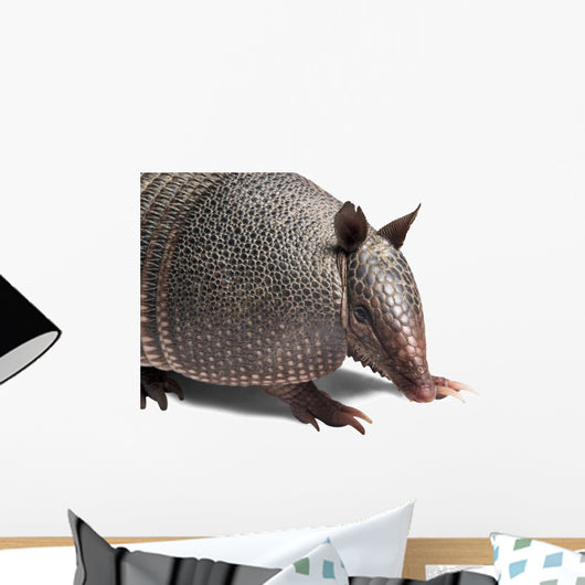 Armadillo Wall Decal