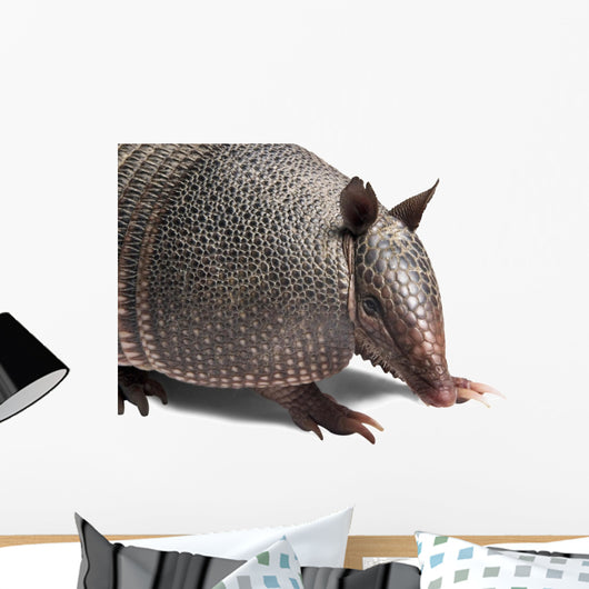 Armadillo Wall Decal