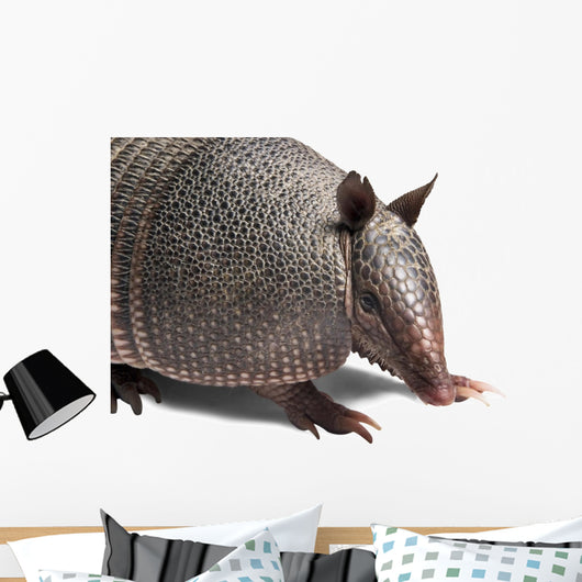 Armadillo Wall Decal