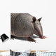 Armadillo Wall Decal