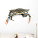 Live Maryland Blue Crab Wall Decal