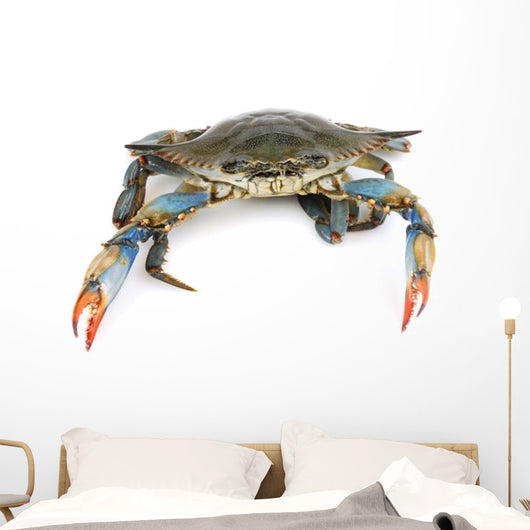 Live Maryland Blue Crab Wall Decal