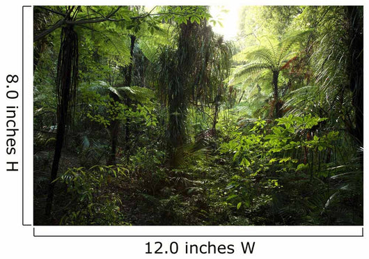 Dense Jungle Wall Decal