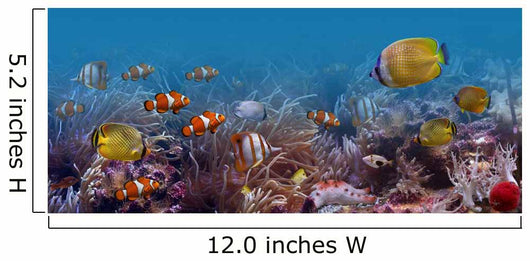 Underwater World Wall Decal