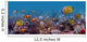 Underwater World Wall Decal