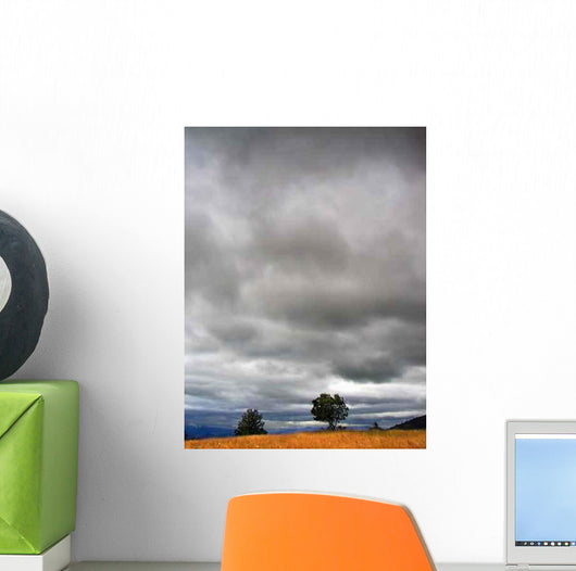 Cloudy Weather Landscape Wall Decal