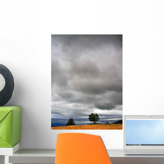 Cloudy Weather Landscape Wall Decal