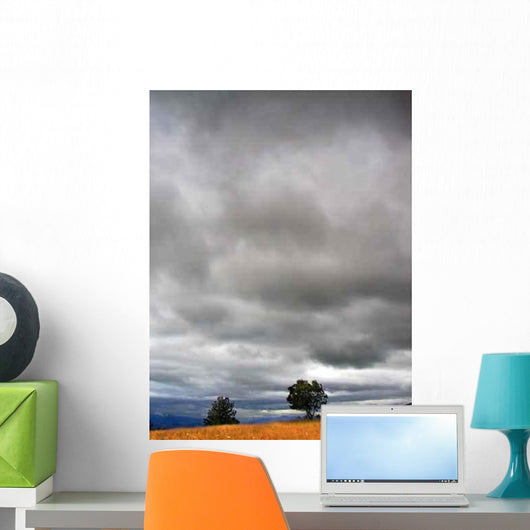 Cloudy Weather Landscape Wall Decal