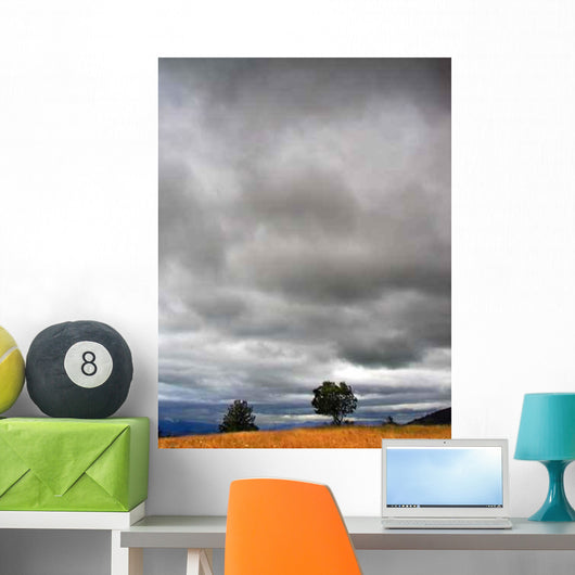 Cloudy Weather Landscape Wall Decal