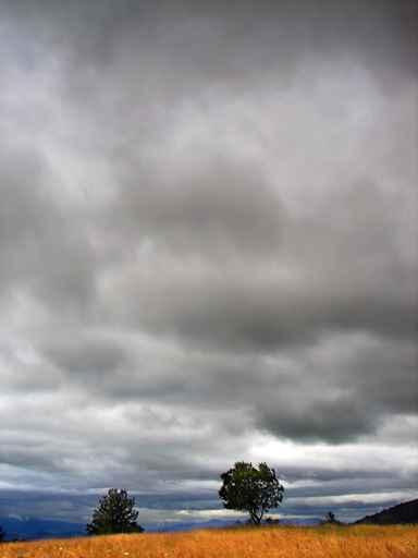 Cloudy Weather Landscape Wall Decal