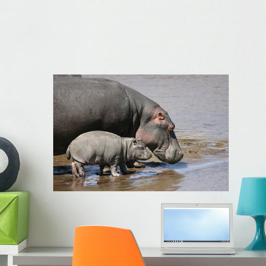 Hippo and Baby Wall Decal