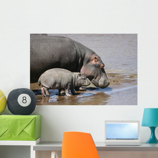Hippo and Baby Wall Decal