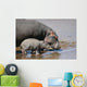 Hippo and Baby Wall Decal
