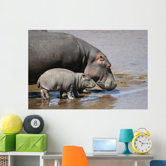 Hippo and Baby Wall Decal
