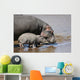 Hippo and Baby Wall Decal