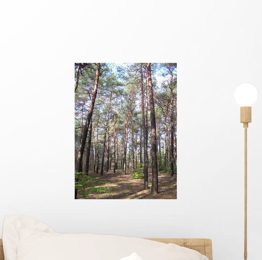 Forest Wall Decal Design 8
