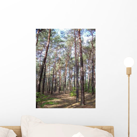 Forest Wall Decal Design 8
