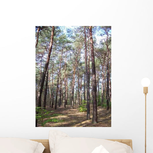 Forest Wall Decal Design 8