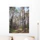 Forest Wall Decal Design 8