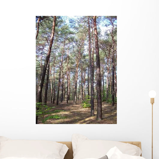 Forest Wall Decal Design 8
