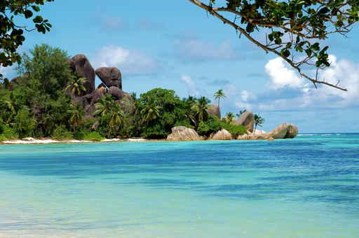 Seychelles Dreaming Wall Decal