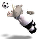 Rhino Plays Soccer Football Wall Decal