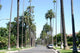 Beverly Hills Wall Decal